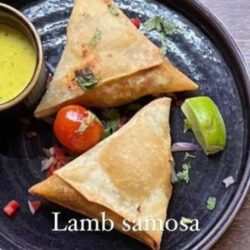 Paro Indian's Best Lamb Samosa