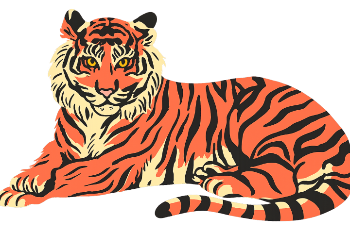 Paro Love Affair Tigers